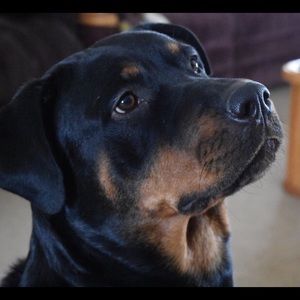 Meet your Posher, Kiersten